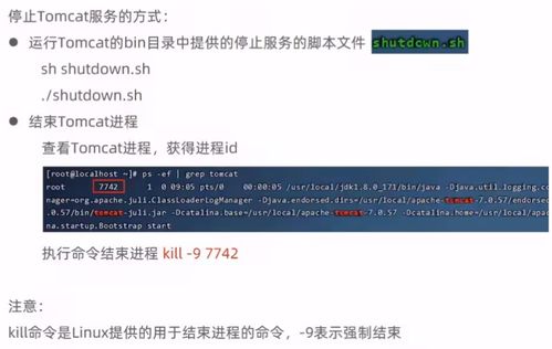 華為云云耀云服務(wù)器l實(shí)例評(píng)測(cè) 瑞吉外賣下載與部署及項(xiàng)目策劃與公關(guān)服務(wù)